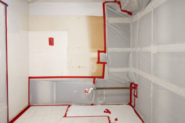 Environmental Consulting for Mold Prevention in Peoria, IL